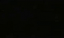 壮熊视频,揭秘野生动物的雄壮与力量