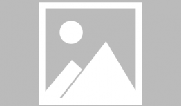 菠萝菠萝蜜视频,揭秘热带水果的神奇魅力